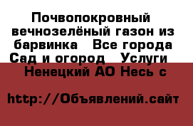 Почвопокровный, вечнозелёный газон из барвинка - Все города Сад и огород » Услуги   . Ненецкий АО,Несь с.